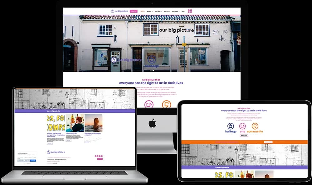 Our Big Picture website preview